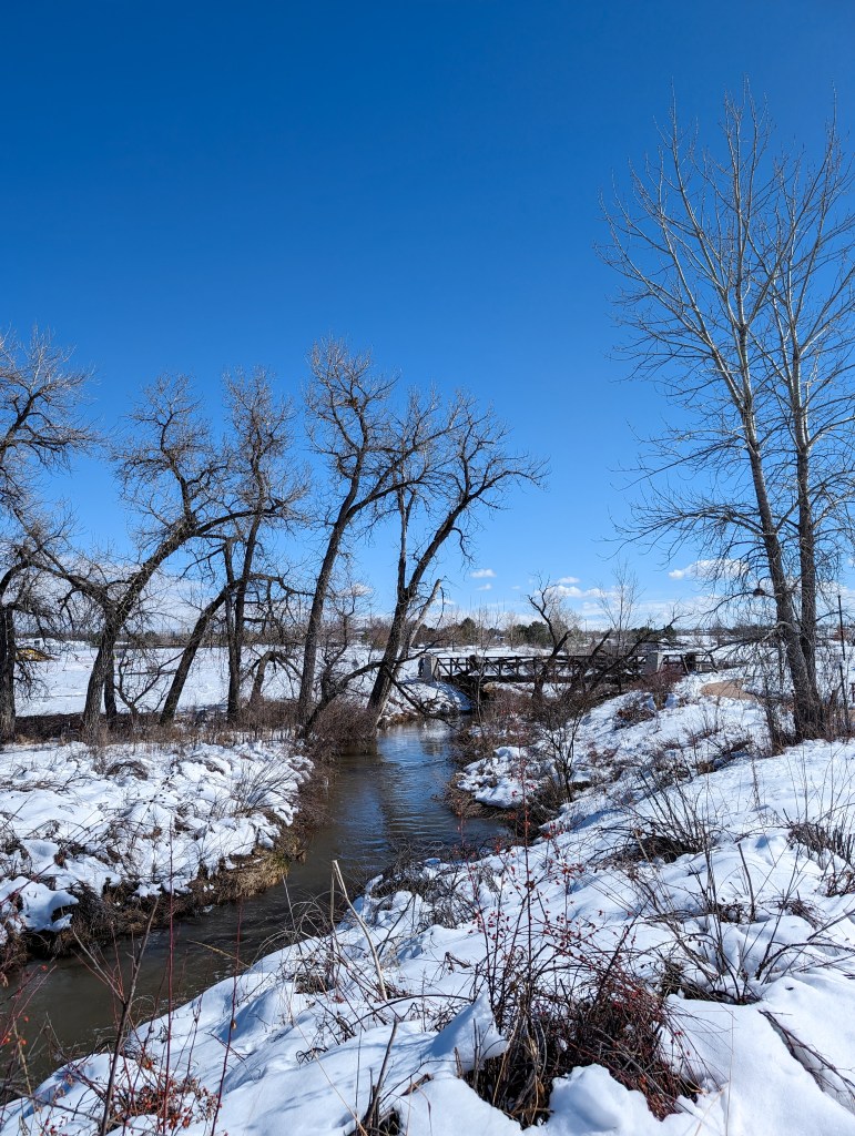 city-park-denver-colorado-snowstarm-walk-spring-day