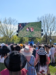 denver mini derby corgi race kentucky derby colorado