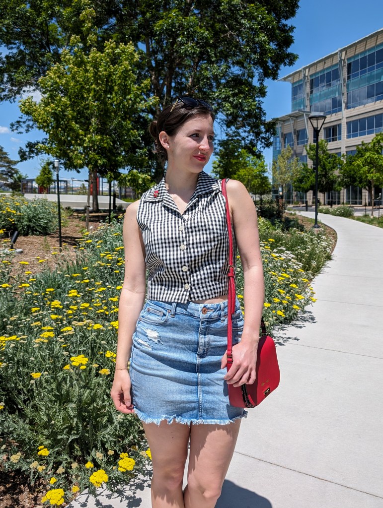 red purse vintage button down top denim skirt ladybug brooch