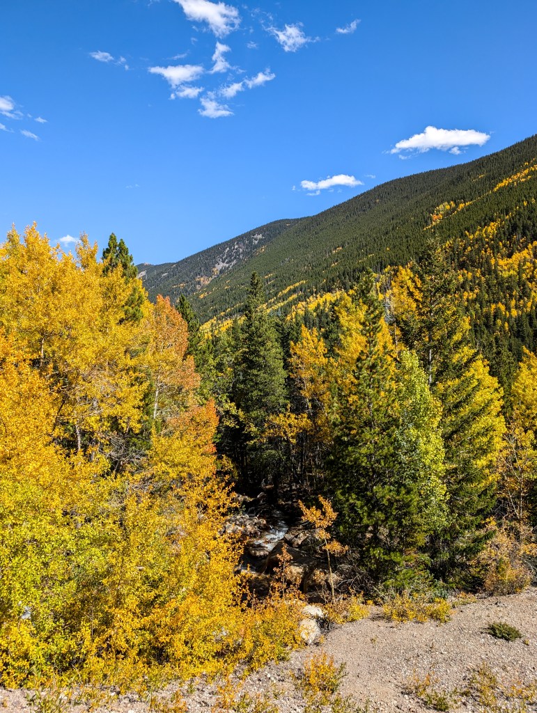 guanella pass colorado georgetown colorful colorado aspens
