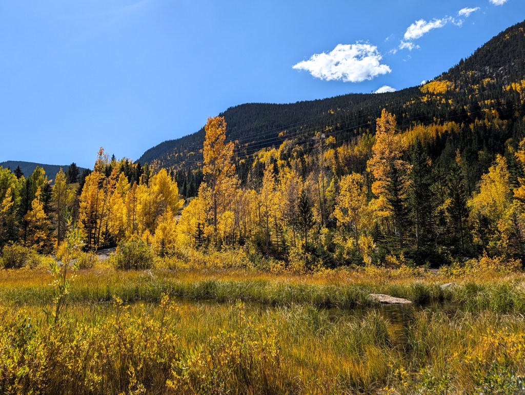 aspens fall in colorado leaf peeping guanella pass