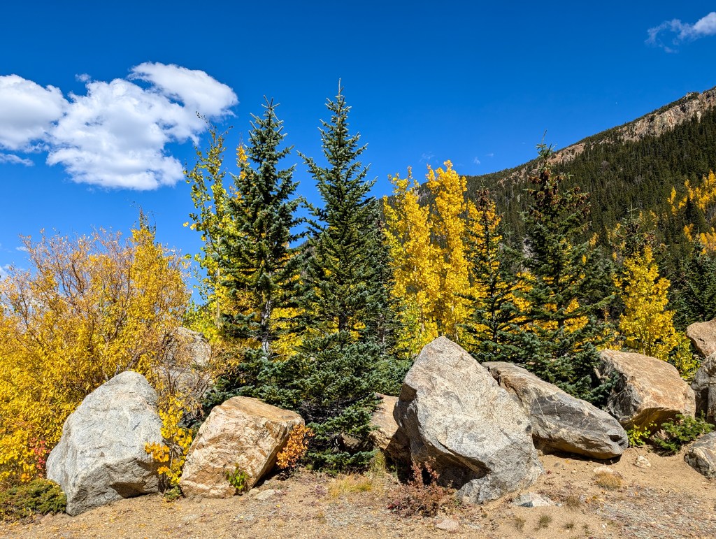 fall in colorado aspens guanella pass leaf peeping fall colors