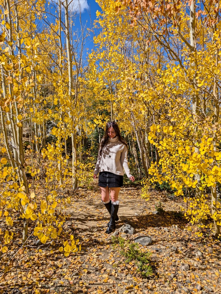 aspens leaves leaf peeping fall colors colorful Colorado