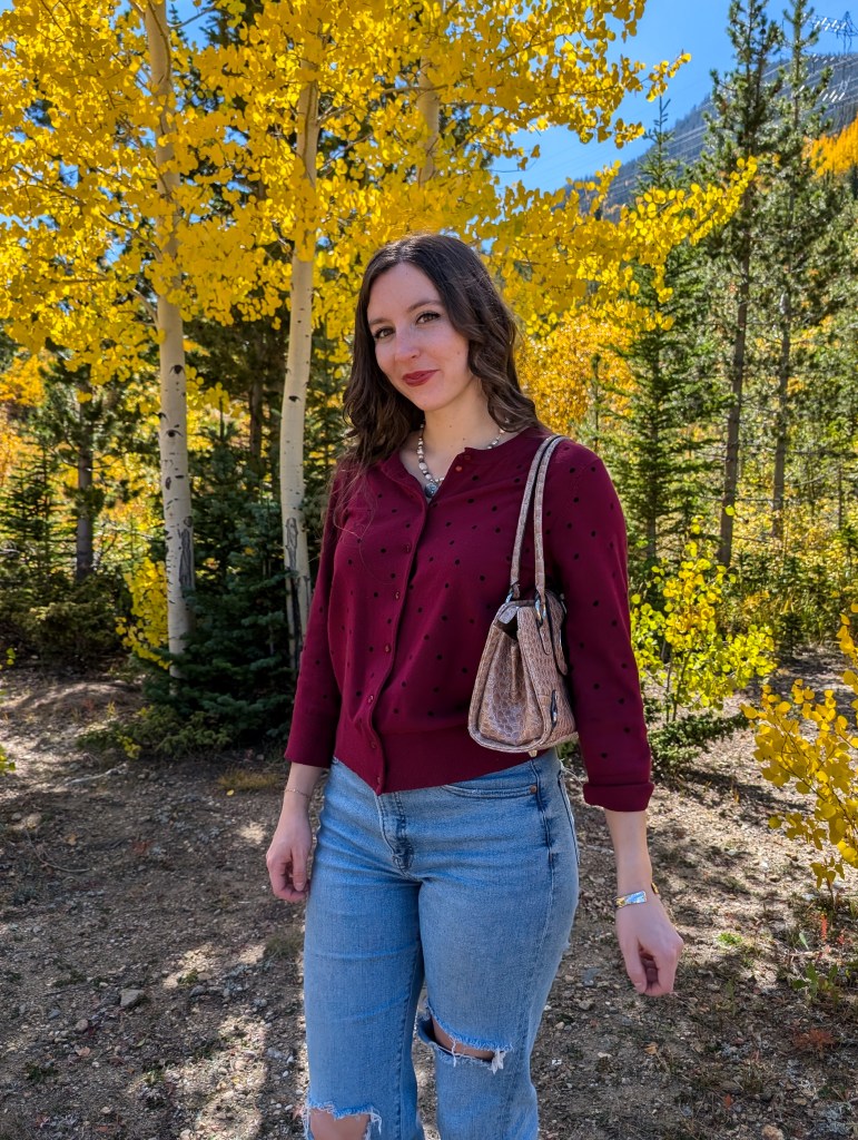 month in review monthly recap polka dot cardigan patent leather purse denim fall style