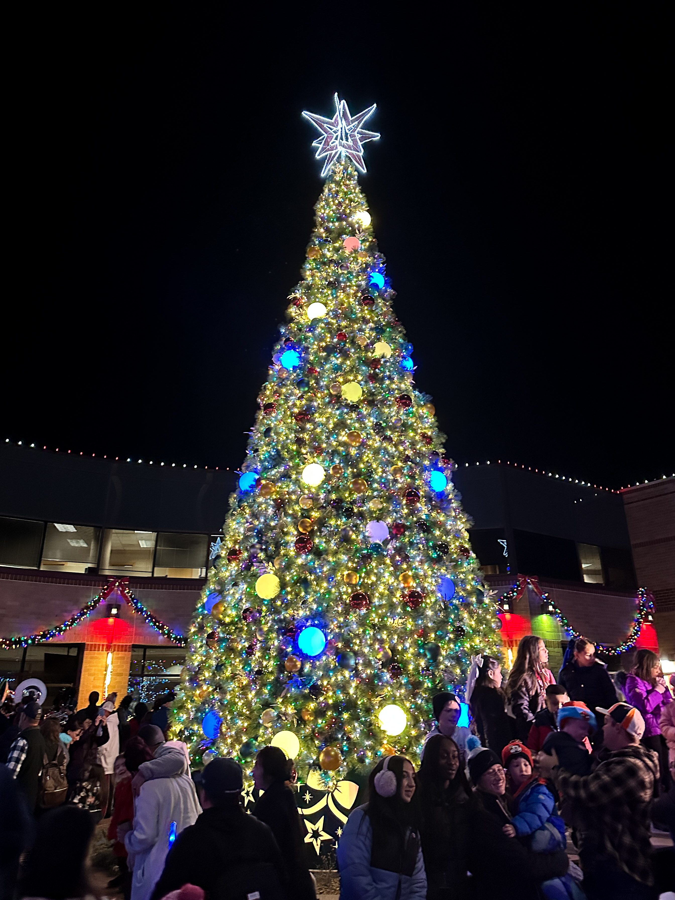 Weekly Recap #49, 2024