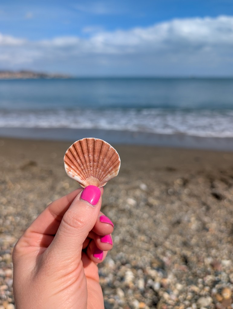 malaga spain travel guide ocean shell travel guide