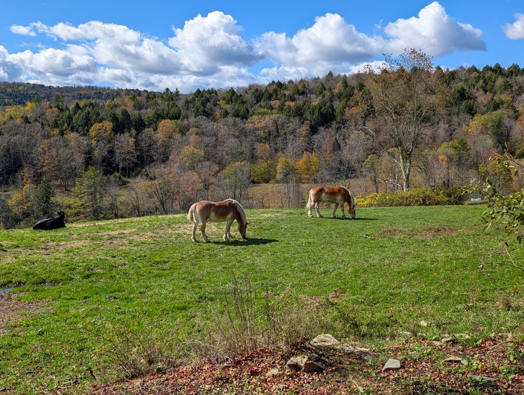 sugarbush farms woodstock vermont fall new england road trip activities