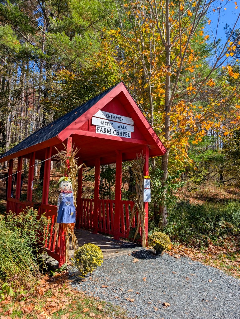 sugarbush farms maple nature walk fall new england autumn colors vermont woodstock