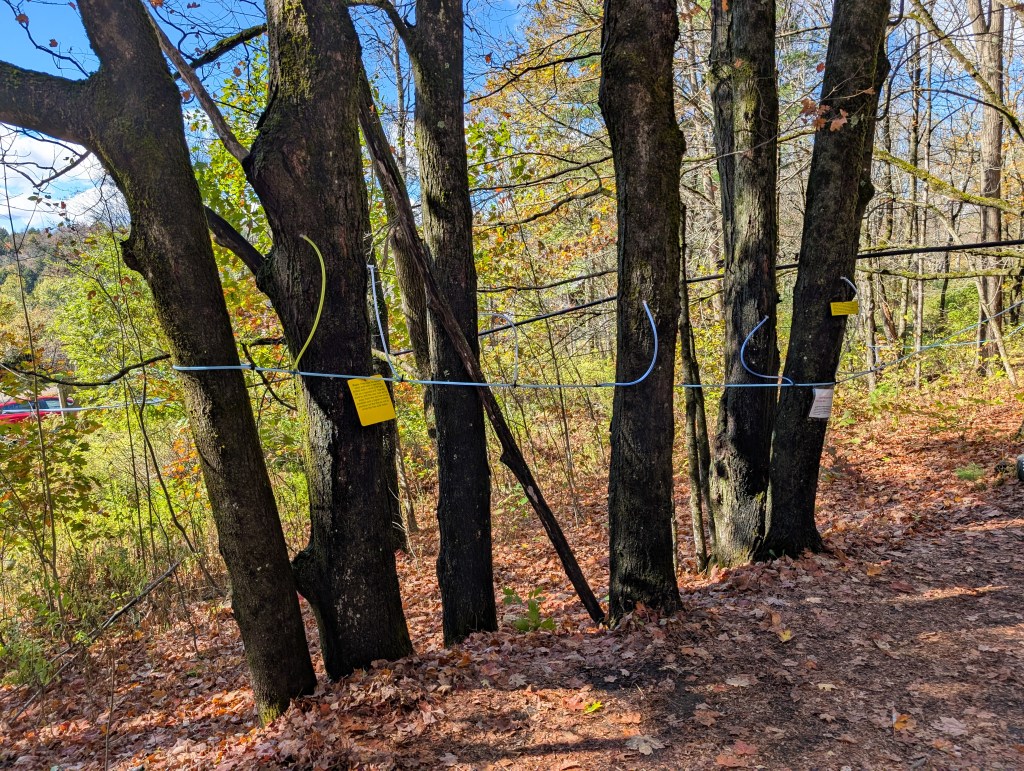 sugarbush farms maple tap syrup fall new england road trip leaf peeping